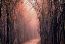 意大利队在客场战胜比利时队——那一夜蓝色的凯旋