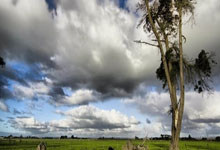 顶级挑战！足坛巨星口水战掀起舆论狂潮