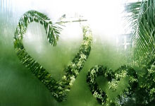 东契奇砍下分，斯洛文尼亚男篮力克意大利