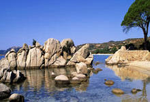 猛龙高枕无忧，管理层喜获好消息大大提振士气